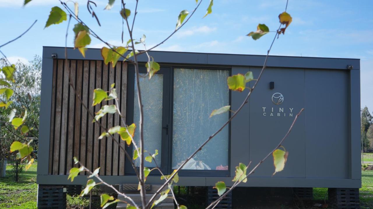 Tiny Colchagua Cabanas Y Padel Appartamento Santa Cruz Esterno foto
